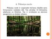 Презентация 'Septiņi Latvijas dabas brīnumi', 10.
