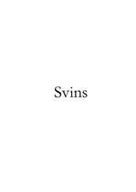 Конспект 'Svins', 4.