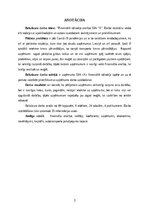 Дипломная 'FINANSIĀLĀ STĀVOKĻA ANALĪZE SIA ”X”', 3.