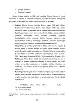 Дипломная 'FINANSIĀLĀ STĀVOKĻA ANALĪZE SIA ”X”', 21.