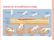 Презентация 'Intravenozās injekcijas', 5.