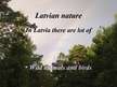 Презентация 'Latvia and Latvians', 11.