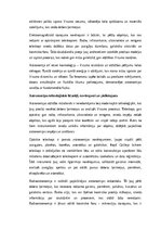 Эссе 'Astronomijas nozīme cilvēces izpratnē un kosmosa izpētes perspektīvas', 3.