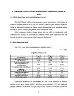 Отчёт по практике 'Prakses pārskats SIA "Prof līnija"', 28.