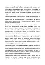 Эссе 'Gremošanas sistēmas anatomija un fizioloģija: barības vielu uzsūkšanās un organi', 2.