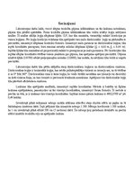 Реферат 'Slēgts teodolīta gājiens', 11.