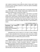 Дипломная 'Uzņēmuma darbības analīze un attīstības iespējas', 27.