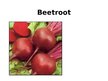 Презентация 'Beetroot', 1.