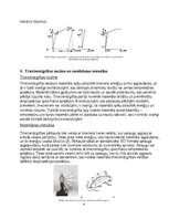 Конспект 'Inženiermateriālu struktūra un īpašības', 4.