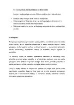 Эссе 'Pirmspensijas bezdarbs kā sociālā problēma Latvijā', 8.