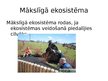 Презентация 'Ekosistēma Latvijā', 7.