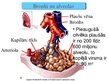 Презентация 'Cilvēka elpošanas orgānu sistēmas uzbūve un funkcijas', 3.