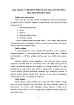 Бизнес план 'Grāmatu ierakstu pārdošana, daļēja ziedošana neredzīgiem cilvēkiem', 1.