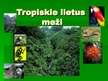 Презентация 'Tropiskie lietus meži', 1.