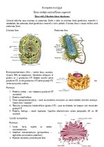 Конспект 'Šūnas organoīdi', 1.