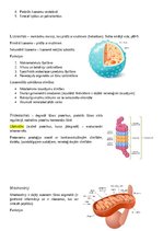 Конспект 'Šūnas organoīdi', 2.