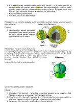 Конспект 'Šūnas organoīdi', 3.