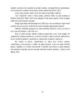 Реферат 'Patērētāju lēmuma pieņemšanas ietekmējošie faktori iegādājoties viedpulksteni', 14.