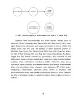 Реферат 'Patērētāju lēmuma pieņemšanas ietekmējošie faktori iegādājoties viedpulksteni', 18.