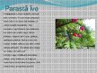 Презентация 'Indīgie augi Latvijā', 3.