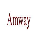 Реферат 'Amway', 1.