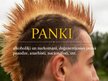 Презентация 'Panki', 1.