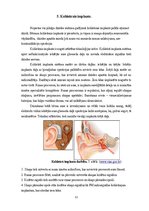 Реферат 'Bērni ar dzirdes traucējumiem un to rehabilitācija ar kohleāro implantu', 12.