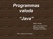 Презентация 'Programmēšanas valoda Java', 1.