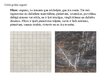 Презентация 'Grīdas segumu veidi', 6.