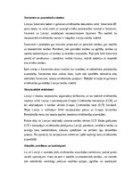 Эссе 'Cilvēktiesības, tendences Latvijā un pasaulē', 3.