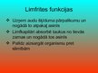 Презентация 'Asinsrites un limfrites orgānu sistēma', 11.