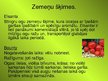 Презентация 'Latvijas zemenes', 9.