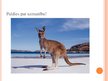 Презентация 'Austrālijas ievērojamākās tūrisma vietas', 15.