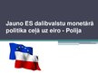 Презентация 'Jauno Eiropas Savienības dalībvalstu monetārā politika ceļā uz eiro. Polija', 1.