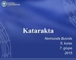 Презентация 'Katarakta', 1.