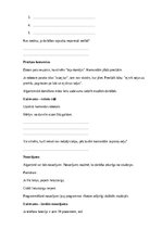 Образец документа 'Datorika – digitālā vide un droša tehnoloģiju lietošana', 22.