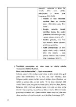 Конспект 'Bērna runas attīstības un valodas apguves izvērtējums (3 – 4,6 gadi)', 13.