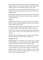 Конспект 'Babilonieši: vēsture, kultūra, mitoloģija, sabiedrība un kultūras mantojums', 6.