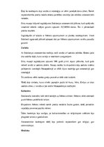 Конспект 'Babilonieši: vēsture, kultūra, mitoloģija, sabiedrība un kultūras mantojums', 13.