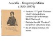 Презентация 'Jaunlatviešu devums kultūrā', 13.