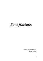 Реферат 'Bone Fractures', 1.