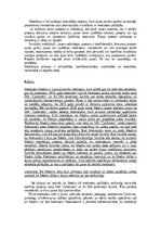 Эссе 'Mediācija', 3.