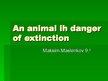 Презентация 'An Animals in Danger', 1.