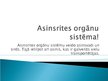 Презентация 'Asinsrites orgānu sistēma', 2.