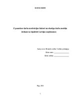Реферат 'Z paaudzes darba motivācijas faktori un elastīga darba modeļa ietekme uz lojalit', 1.