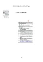 Реферат 'Jūras prakses projekts', 45.