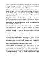 Конспект 'Regīnas Ezeras trīs zooloģisko noveļu analīze', 2.