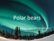 Презентация 'Polar Bears', 1.