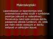 Презентация 'Endometrioze', 18.