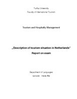 Реферат 'Description of Tourism Situation in Netherlands', 1.